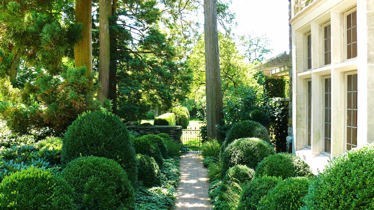 Landscaping