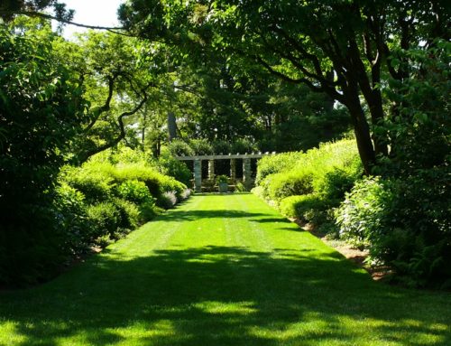 Mediterrán Garden